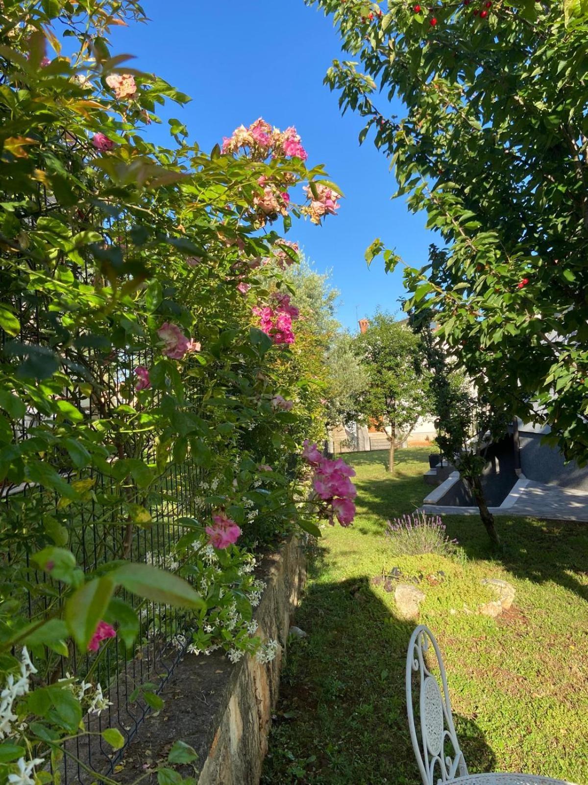 Holiday Home Mihaela Višnjan Eksteriør billede